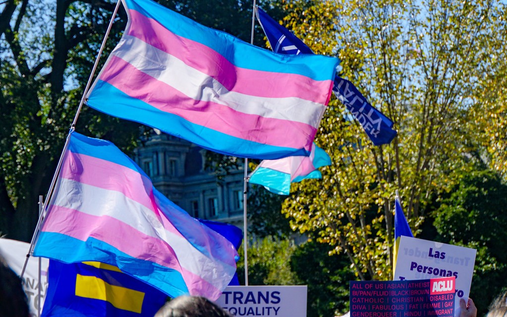 Transgender pride flags
